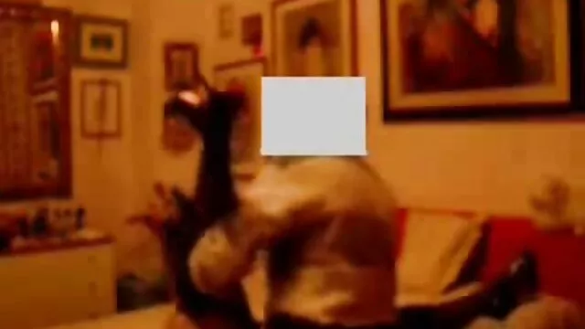 Mamá es follada xxx hentai en español por el culo en la cocina