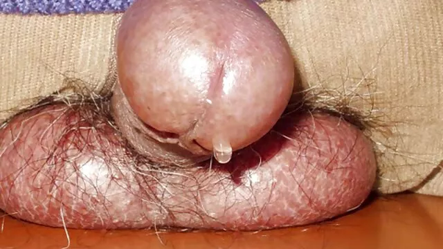 Zorra pelirroja trabaja con asas y lengua videos de sexo en castellano