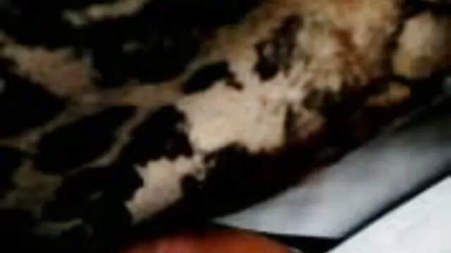 Bebé no hentai sub español porno es tímido cuando su coño quiere orinar
